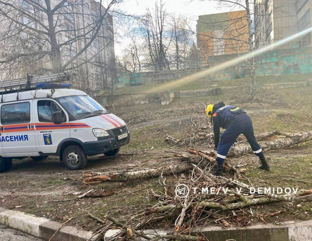 Сильный ветер в Белгороде: коммунальщики устраняют последствия