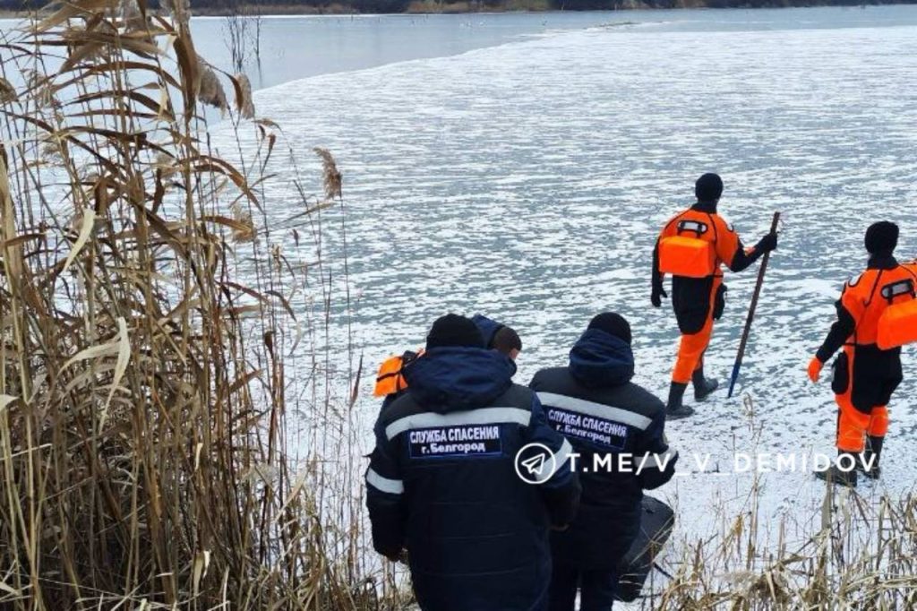 Операция по спасению: лебедя освободили из ледяного плена в Белгороде