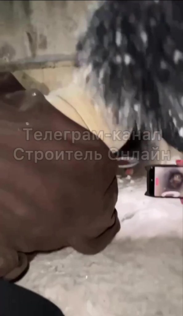 Губернатор Гладков отреагировал на инцидент с животными в Томаровке