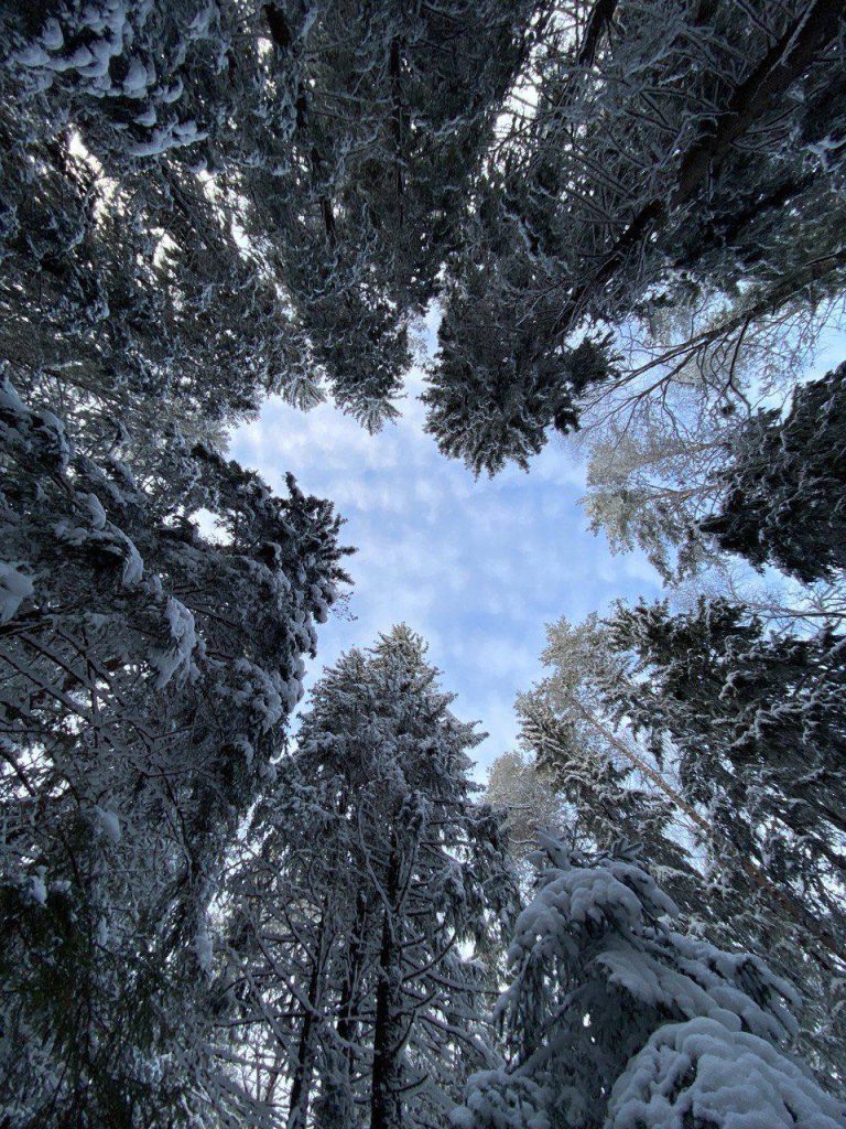 Аномальные морозы накроют Белгородскую область на следующей неделе