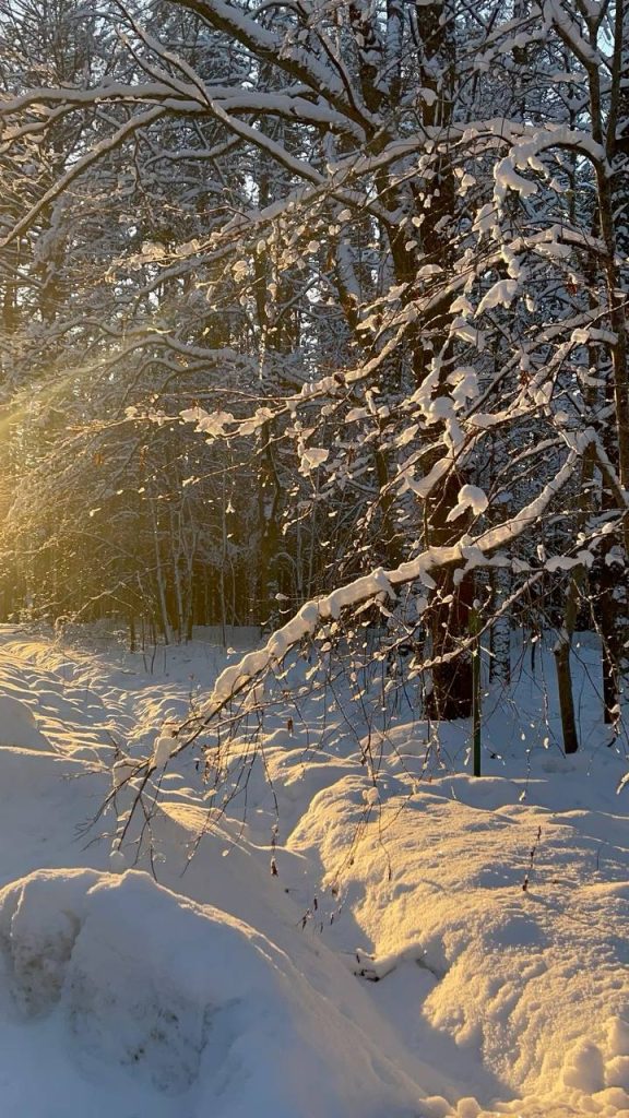 Морозное предупреждение: в Белгородской области ожидается аномальное похолодание