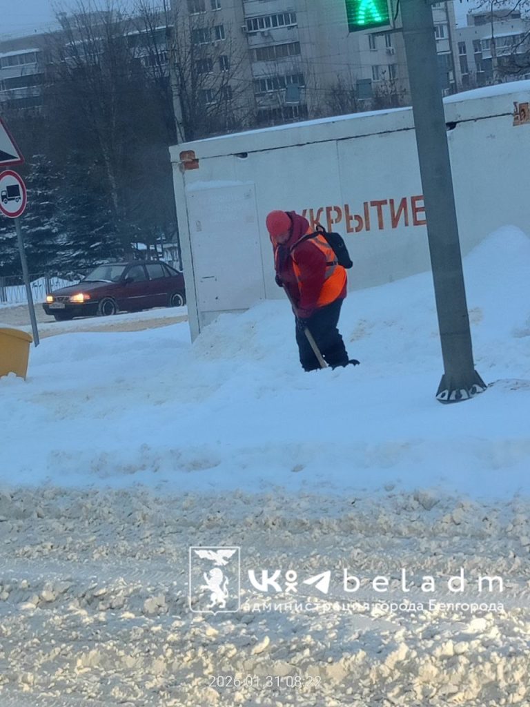 Ночной снегопад в Белгороде: коммунальщики работали в усиленном режиме