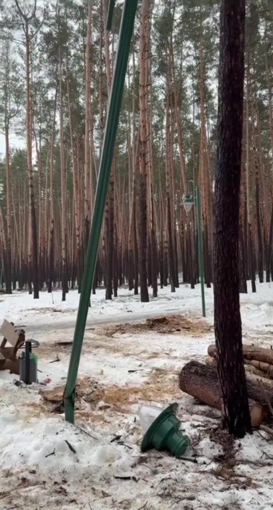 Губернатор Белгородской области раскритиковал варварскую вырубку леса и повреждение инфраструктуры в Белгороде