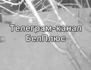Мощные взрывы прогремели в небе над областью во время ракетной опасности