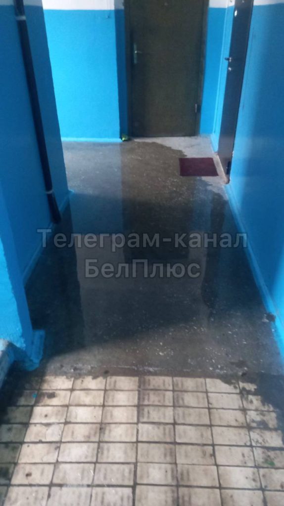 Затопление в жилом доме на улице Губкина: лифты отключены, аварийные службы бездействуют