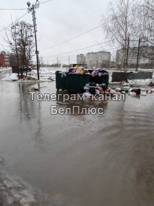 Жители дома на Почтовой, 50 устали бороться с лужами и мусором во дворе