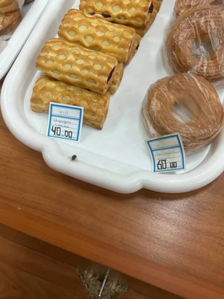 В белгородском педколледже обнаружили тараканов в столовой и затопленное укрытие