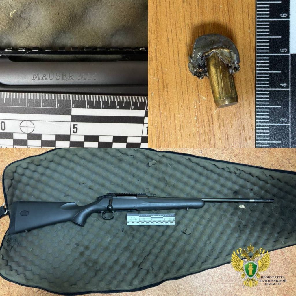 Депутат из Шебекинского округа обвиняется в незаконной охоте на оленя