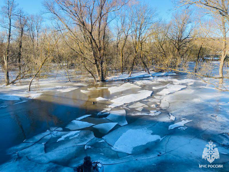 В Белгороде лёд на водоёмах стал опасным из-за потепления