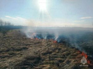 В Белгородской области за неделю потушили 19 пожаров сухой травы