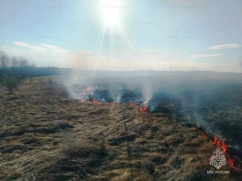В Белгородской области за неделю потушили 19 пожаров сухой травы