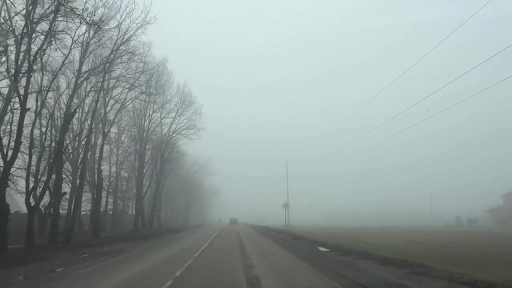 Плотный туман окутал Белгородскую область: рекомендации для автомобилистов