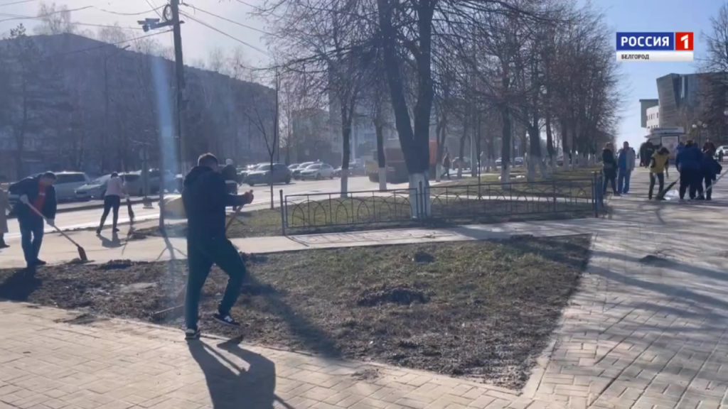 В Белгороде стартовали массовые субботники с участием волонтёров