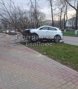 Иномарка врезалась в дерево на перекрёстке в Белгороде