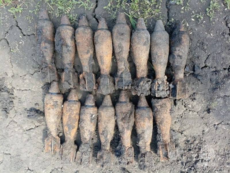 В Ладомировке обнаружены боеприпасы времен Великой Отечественной войны