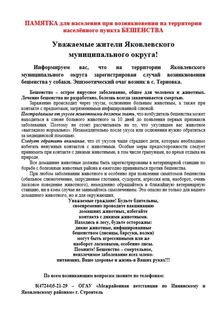 В Яковлевском округе выявлен случай бешенства у собаки