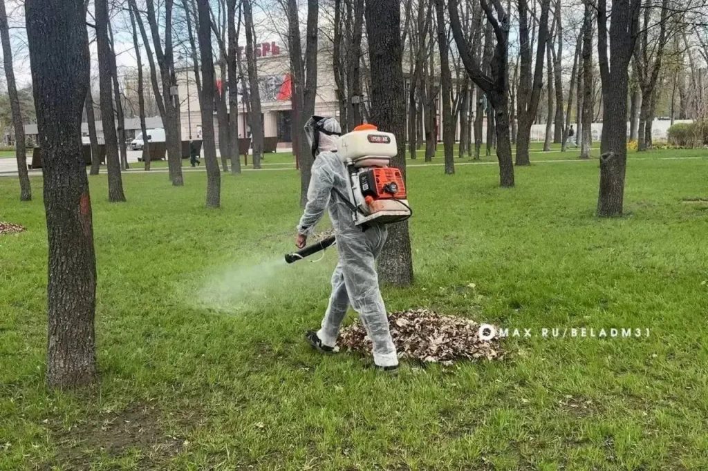 В Белгороде началась обработка общественных зон от клещей